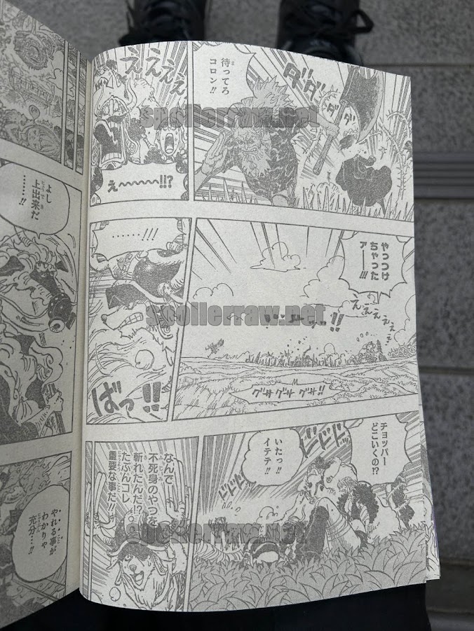 ワンピース 第1149話raw - Page 6
